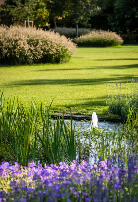 Woning met landschappelijke tuin inclusief zwemvijver 