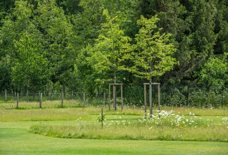 Moderne villa met ruim terras en landschappelijke tuin