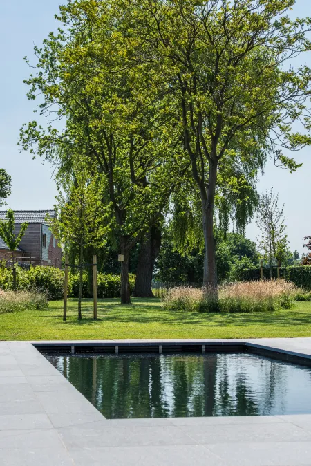 Moderne villa met landschappelijke tuin met zwembad 