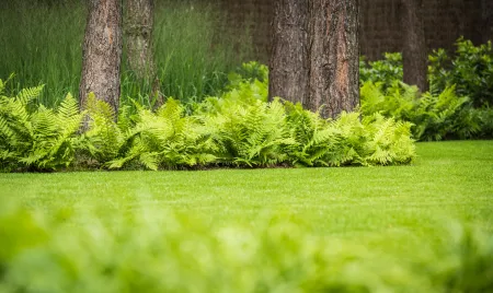 Riante villa met groene, klassieke tuin. 