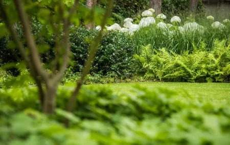 Riante villa met groene, klassieke tuin. 