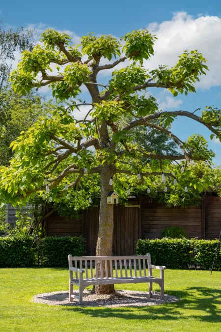 Groene tuin aan klassieke villa te Bonheiden