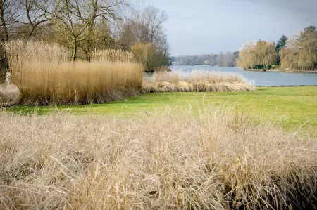 Aanplanting, groene tuin met uitzicht op meer 