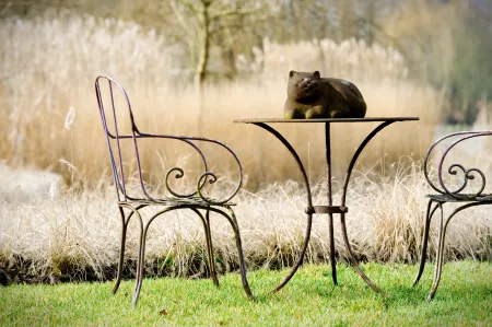 Artistieke zitgelegenheid in groene tuin. 