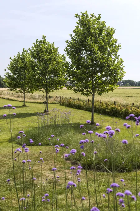 Landschapstuin aan villa 