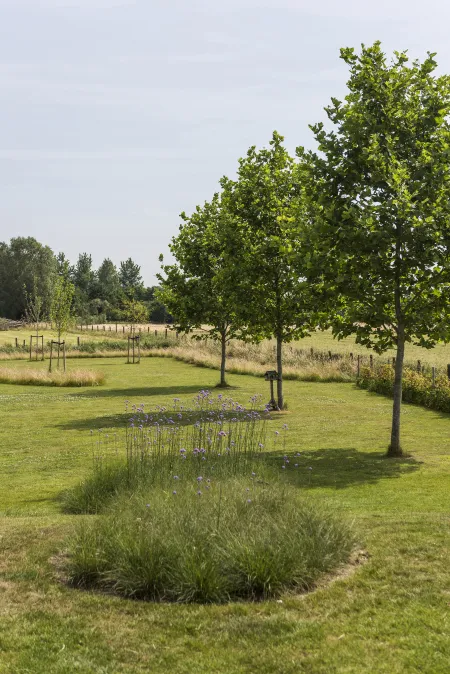 Aanplanting in landschapstuin aan villa