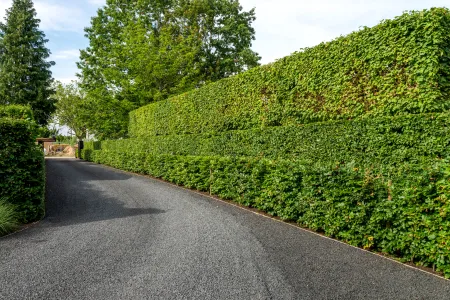 Inrit moderne villa met zwembad te Keerbergen