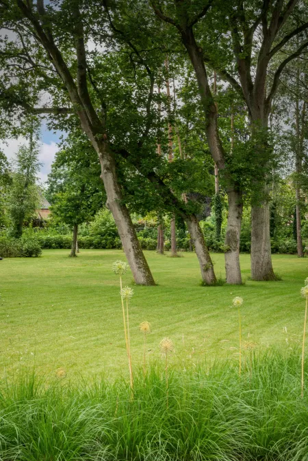 Groene tuin aan moderne villa met zwemvijver te Keerbergen