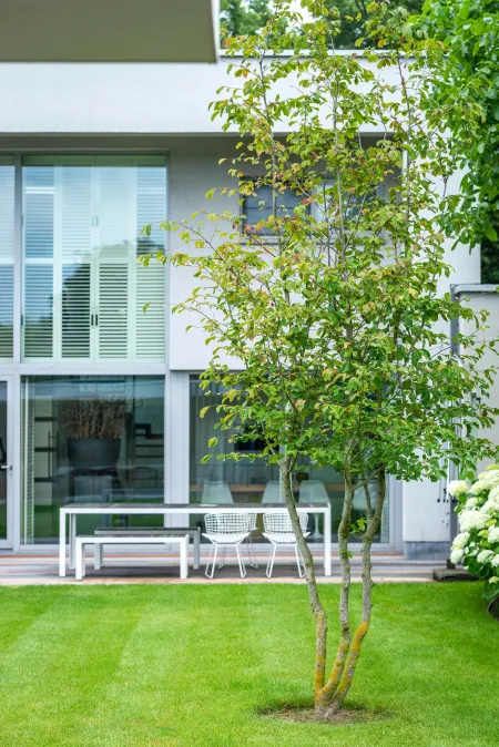 Moderne villa met ruim terras inclusief eethoek en groene tuin