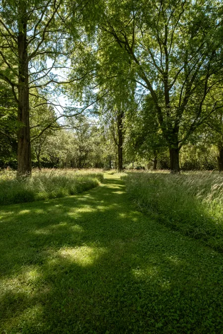 Zwembad gezien over golvende siergrassen, met een pad van tegels dat naar de rand leidt.