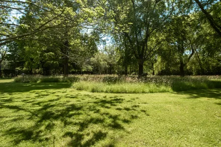 Weids grasveld met zwembad, omzoomd door siergrassen en een dichte bomenrand op de achtergrond.