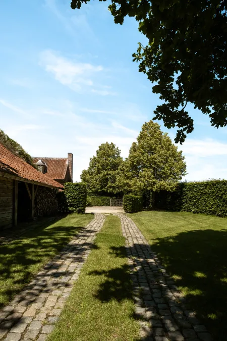 Zijaanzicht van de rode gevel met schouw, met het strakke zwembad omringd door hoge naaldbomen.