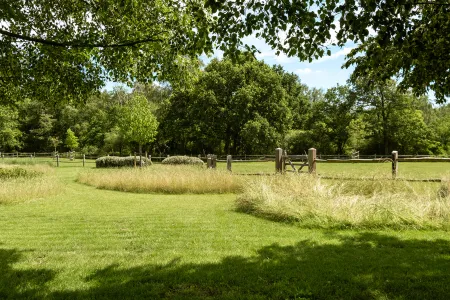 Grasdreef die zich een weg baant tussen wilde bloemenweides en een houten paardenafsluiting.