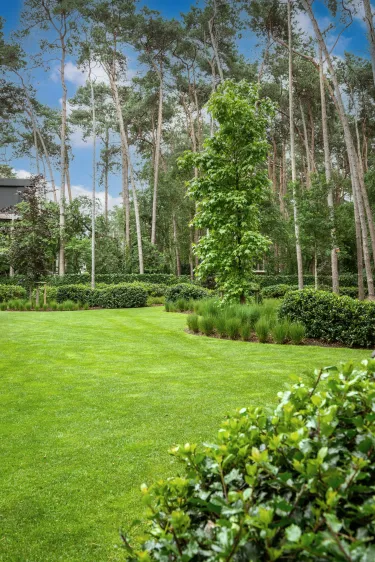 Groene bostuin aan moderne villa