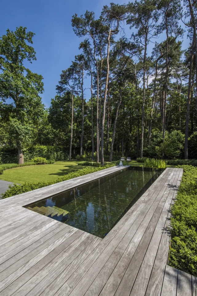 Zwemvijver met uitzicht op bos